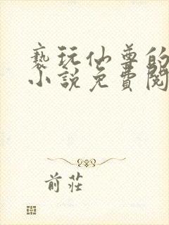 亵玩仙尊的道侣小说免费阅读