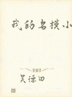 我的名模小娇妻