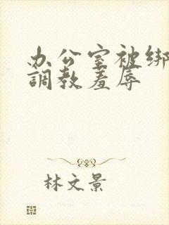 办公室被绑奶头调教羞辱