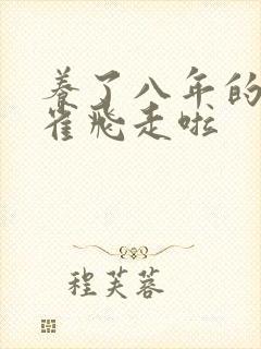 养了八年的金丝雀飞走啦