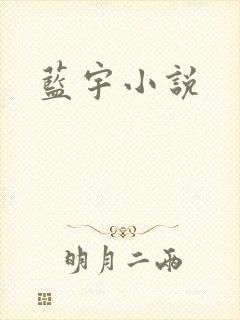 蓝宇小说