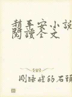 赵平安小说免费阅读全文