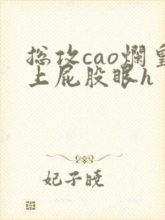 总攻cao烂皇上屁股眼h