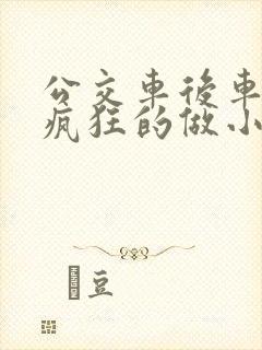 公交车后车座的疯狂的做小