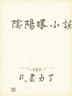 阴阳眼小说