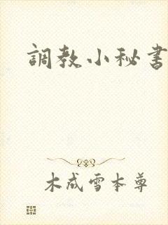 调教小秘书