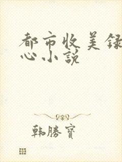 都市收美录宁素心小说