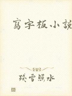 写字板小说