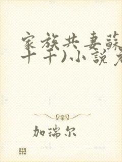 家族共妻苏苏(十千)小说免费