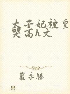 太子妃被皇上c哭高h文