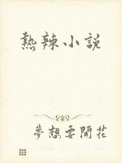 热辣小说