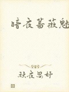 暗夜蔷薇魅