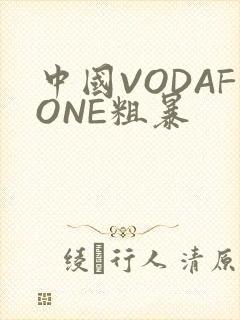 中国VODAFONE粗暴