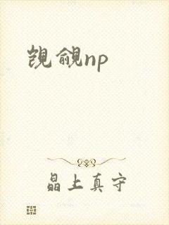 觊觎np