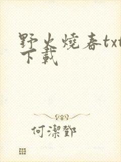 野火烧春txt下载