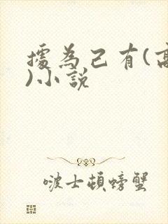 据为己有(高干)小说