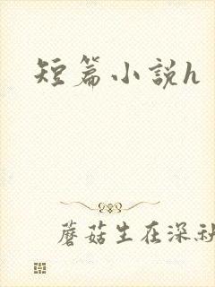 短篇小说h