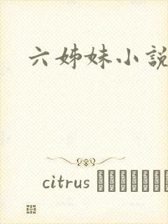 六姊妹小说