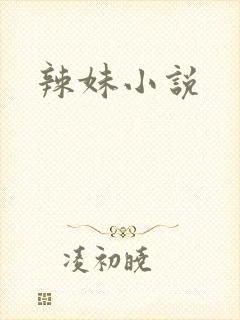 辣妹小说