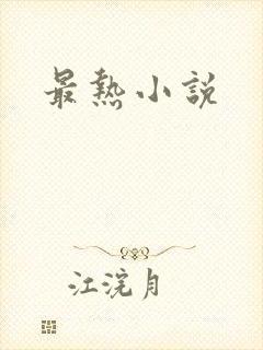 最热小说