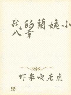 我的兰姨小说第八章