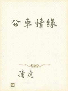 公车情缘