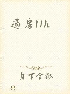 通房11h