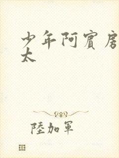 少年阿宾房东太太