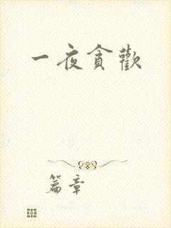 一夜贪欢