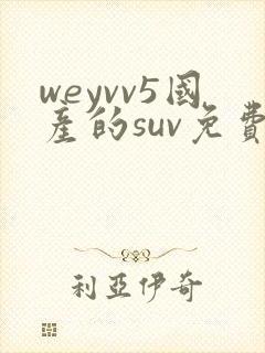 weyvv5国产的suv免费
