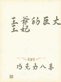 王爷的巨大进入王妃