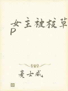 女主被校草们NP