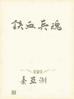 铁血兵魂