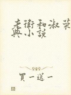 老卫和淑荣的经典小说