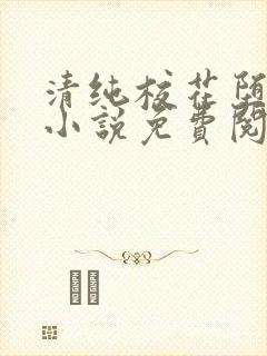 清纯校花堕落记小说免费阅读