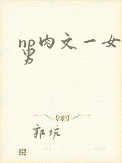 np肉文一女多男