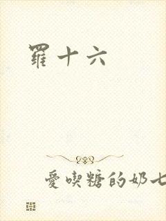 罗十六