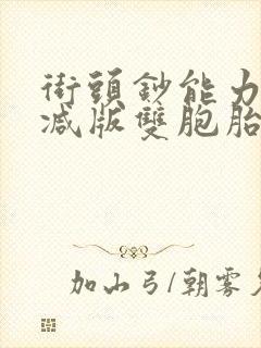 街头钞能力无删减版双胞胎