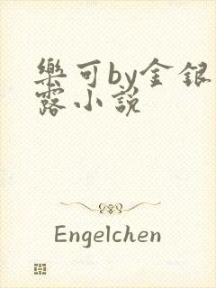 乐可by金银花露小说