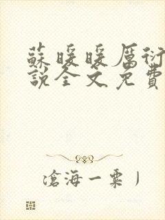 苏暖暖厉衍琛小说全文免费阅读