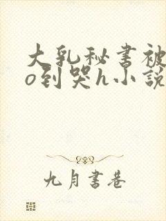 大乳秘书被cao到哭h小说