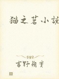 猫之茗小说
