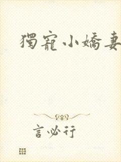 独宠小娇妻