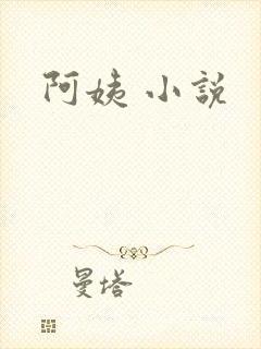 阿姨 小说