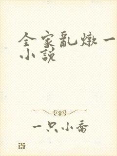 全家乱炖一锅烩小说