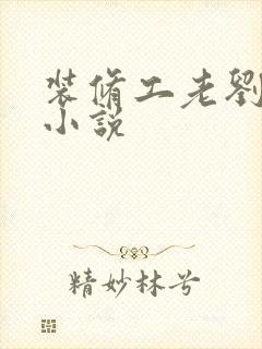 装修工老刘林雪小说