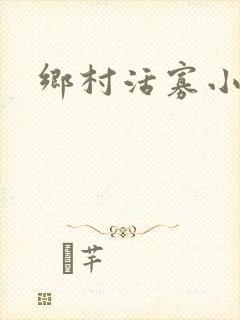 乡村活寡小说