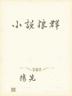 小说狼群