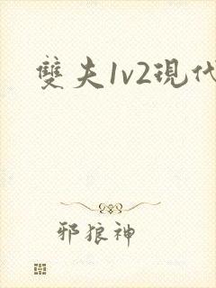 双夫1v2现代