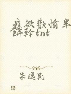 瘾欲欢愉半块小饼干tnt